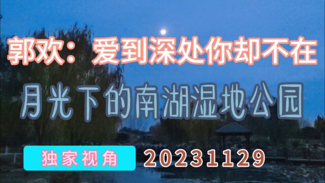 独家视角:月光下的南湖湿地公园,郭欢:爱到深处你却不在完整版