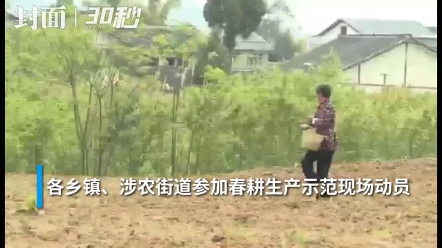 南充顺庆:大春生产现场动员大豆玉米带状复合种植提质增效