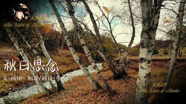 怕相思,已相思,轮到相思没处辞,眉间露一丝 #情感共鸣 #秋天 #治愈系 #旅行 #声音疗愈