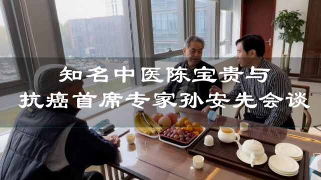 知名中医陈宝贵与抗癌首席专家孙安先会谈