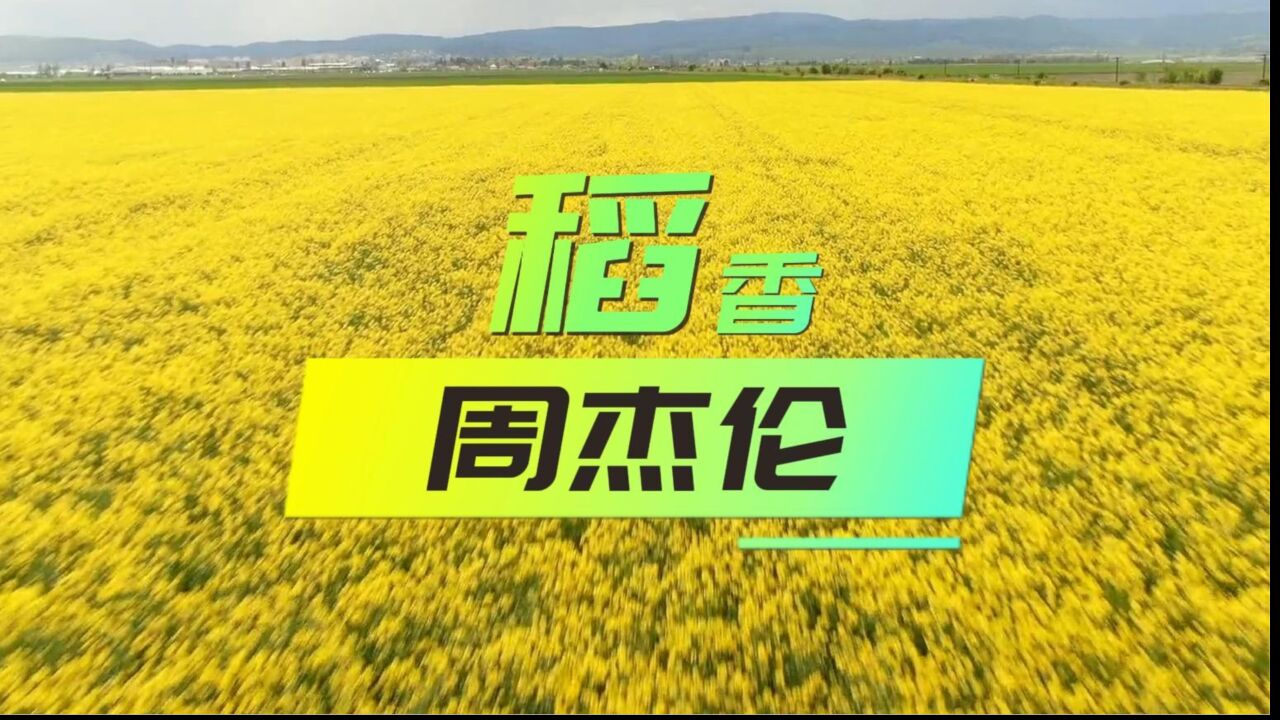 稻香-周杰伦,完整版无损音乐,回到最初的梦想_高清1080P在线观看平台_腾讯视频