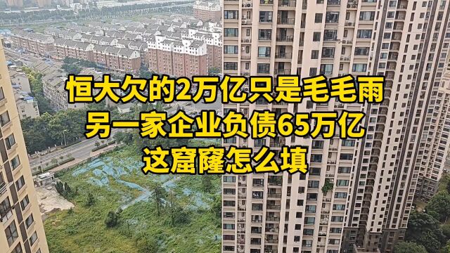 恒大欠的2万亿只是毛毛雨,另一家企业负债65万亿,这窟窿怎么填