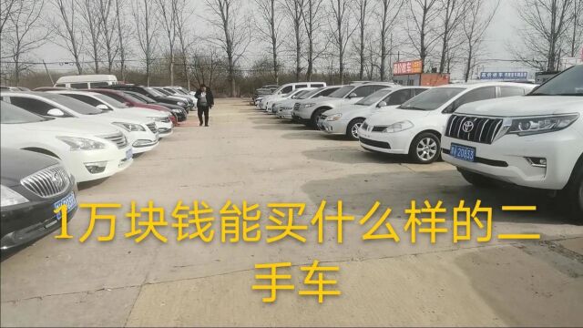 预算12万怎么选二手车?别太过挑剔,这几款车买回去省心省力