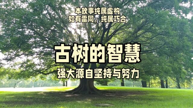 古树的智慧:强大源自坚持与努力