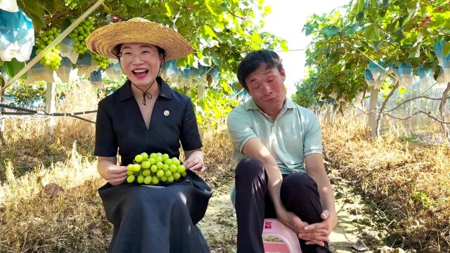 直播助农,为残疾人托起创业梦,西安市中小企业协会在行动!