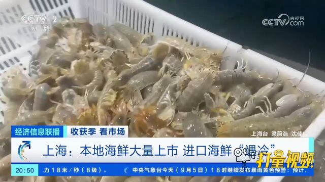 价格大跌,销量暴增!上海本地海鲜大量上市,这些产品成“新宠”