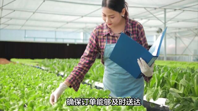 政府推出代理点代办代收服务,助力莘县蔬菜基地与益泽供应链合作