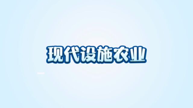 你听过现代设施农业吗?