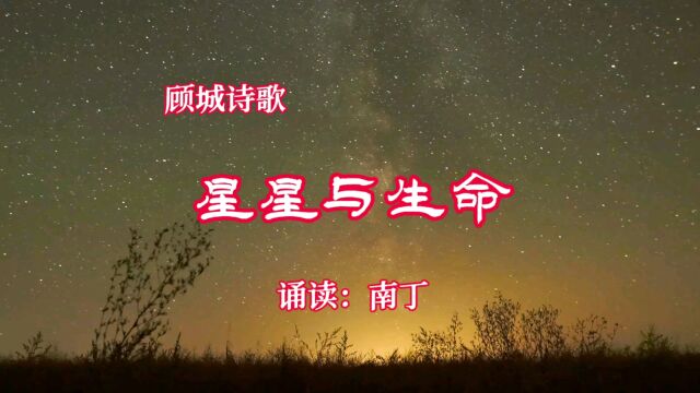 顾城诗歌《星星与生命》诵读:南丁