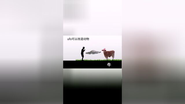 一成不变只会让你失去竞争力.