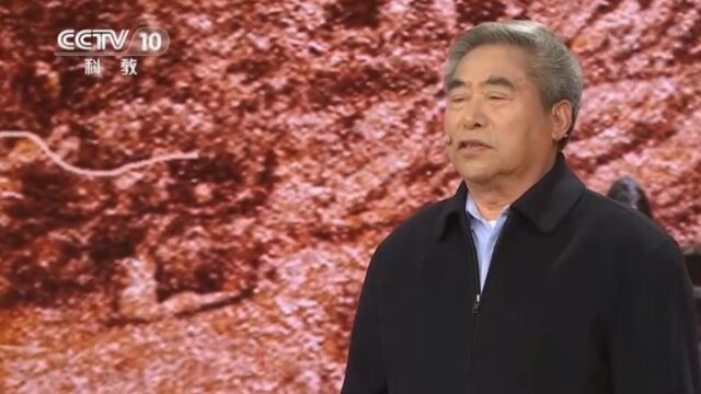 南山根类型里,有两种短剑:曲刃短剑和直刃匕首式短剑