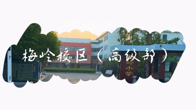 梅岭小学(高级部)