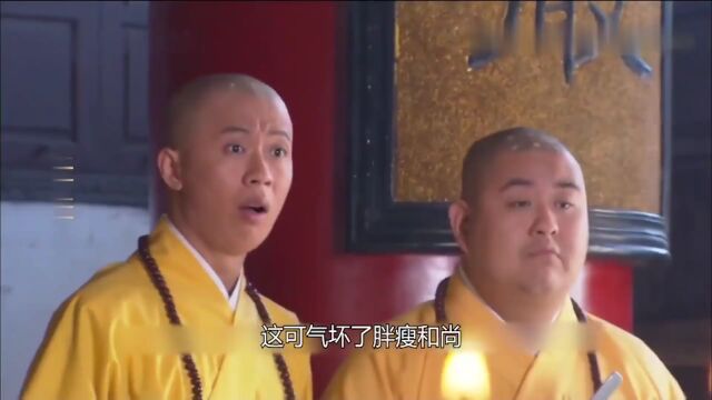 金龙青龙齐聚皇觉寺