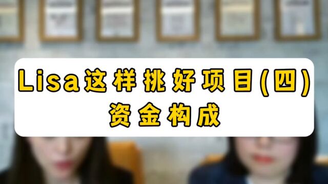 Lisa这样挑选好项目(四)资金构成