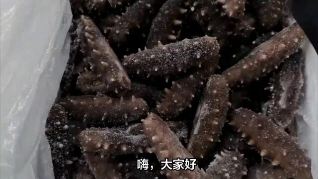 海底宝藏的新探索:成功海参人工养殖的秘诀