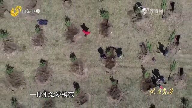 实验林被意外烧毁,她带队员再次上山,种植20多万亩树苗