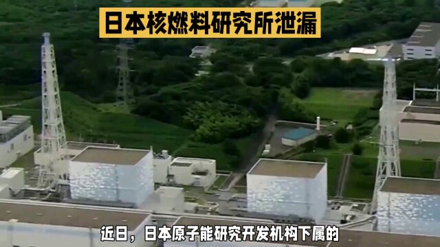 日本研究机构发生放射性物质泄漏