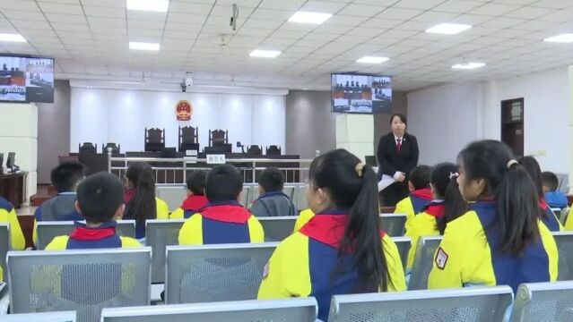 【建设平安华州】华州区人民法院:举办“法院开放日”活动 小学生“沉浸式”体验司法权威