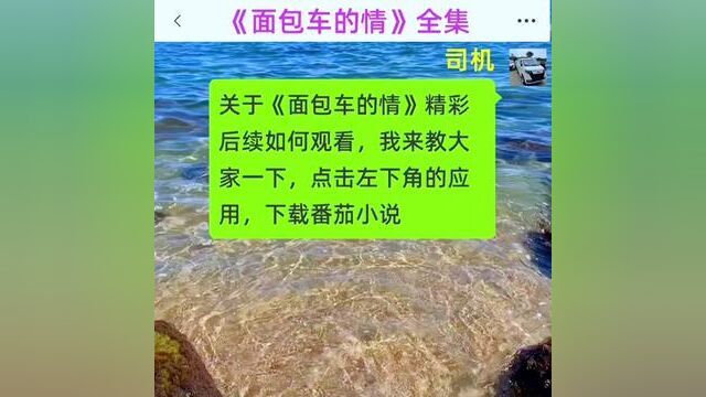 《面包车的情》全集#番茄小说