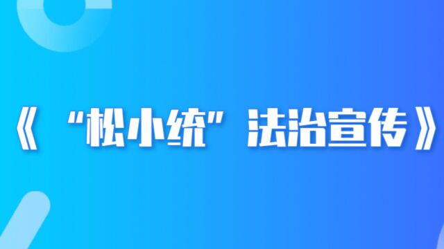 《“松小统”法治宣传》第三期:统计调查对象篇