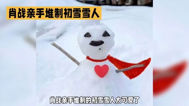 肖战亲手堆雪人,可爱到爆炸