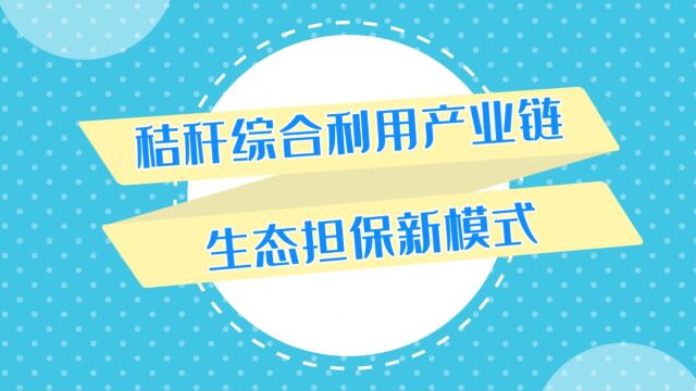 5、秸秆综合利用产业链生态担保新模式