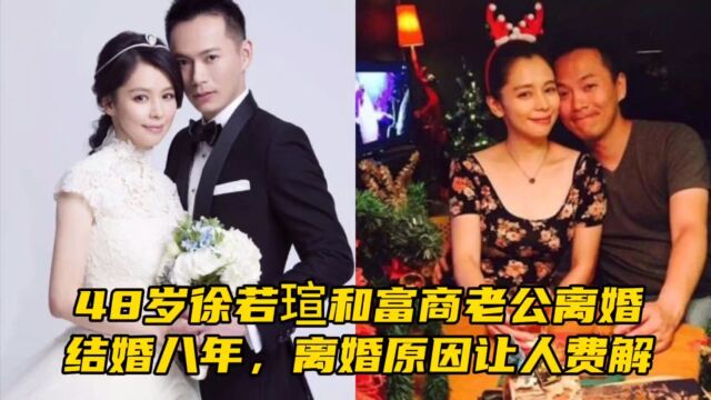 48岁徐若瑄和富商老公离婚,结婚八年,离婚原因让人费解