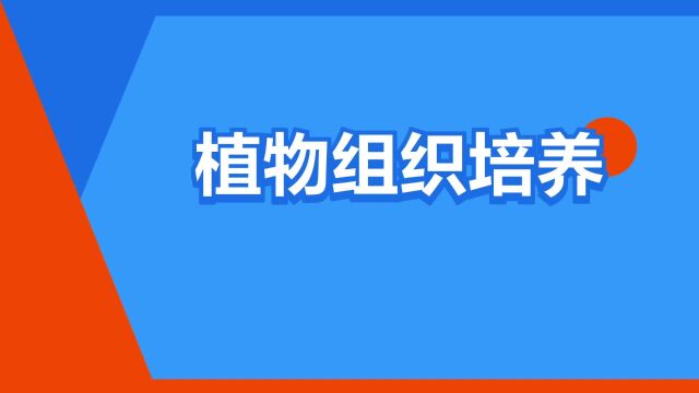 “植物组织培养”是什么意思?