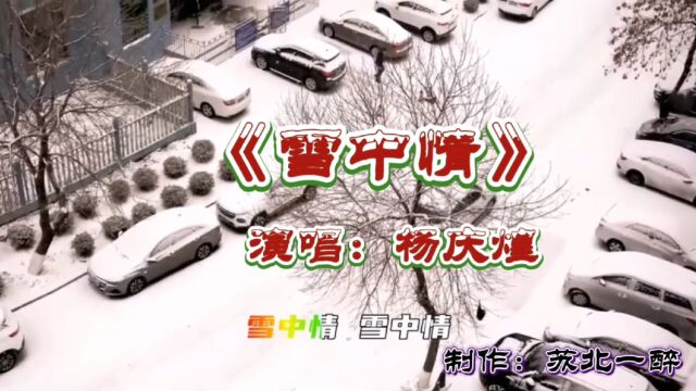 电视剧《雪山飞狐》主题曲《雪中情》演唱:杨庆煌,满满的回忆.