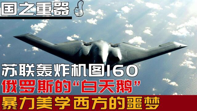 苏联轰炸机图160,俄罗斯的“白天鹅”,暴力美学西方的噩梦