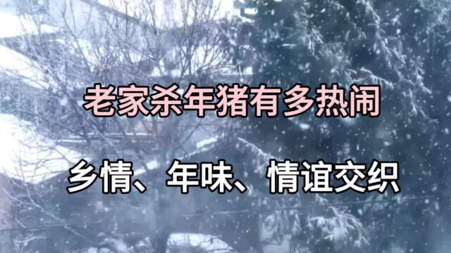 老家杀年猪有多热闹,乡情、年味、情谊交织