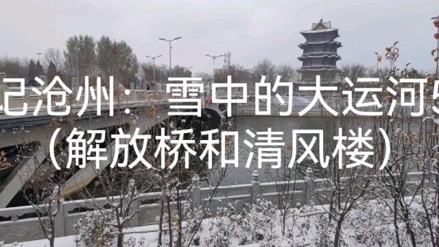 记沧州:雪中的大运河5(解放桥和清风楼)