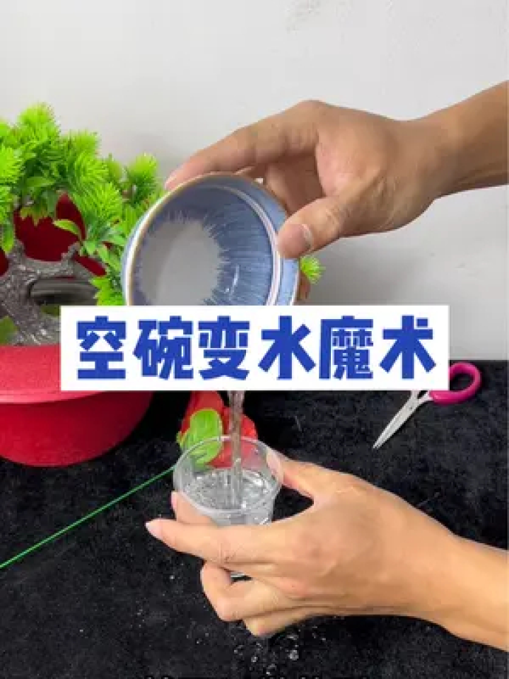 魔术 #魔术教学 空碗 变水