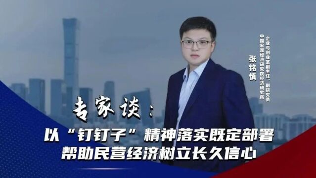 专家谈 | 以“钉钉子”精神落实既定部署 帮助民营经济树立长久信心