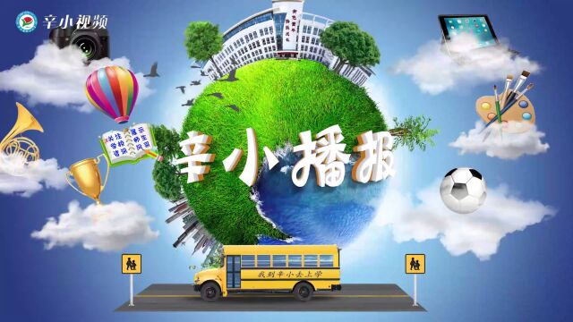 辛口镇中心小学校园资讯播报 第11期