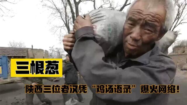 三根葱:陕西三位老汉凭“鸡汤语录”爆火网络,受当地政府关注!