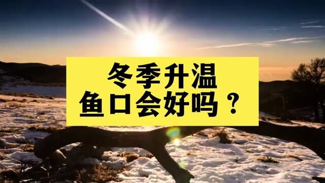 冬季升温钓鱼好钓吗? #野钓 #野钓技巧