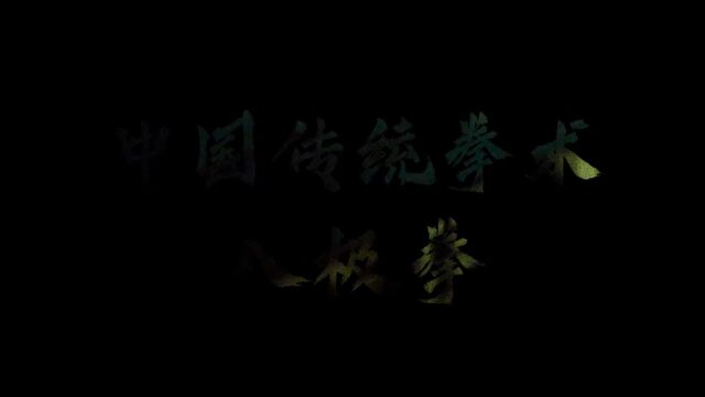 “文有太极安天下 武有八极定乾坤”#八极拳 #张震 #一代宗师