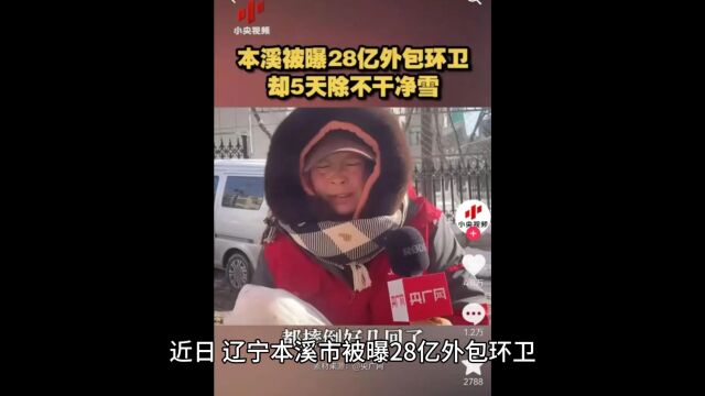 28亿扫不了门前雪?辽宁外包除雪事件:涉事公司被扒,央视发声!