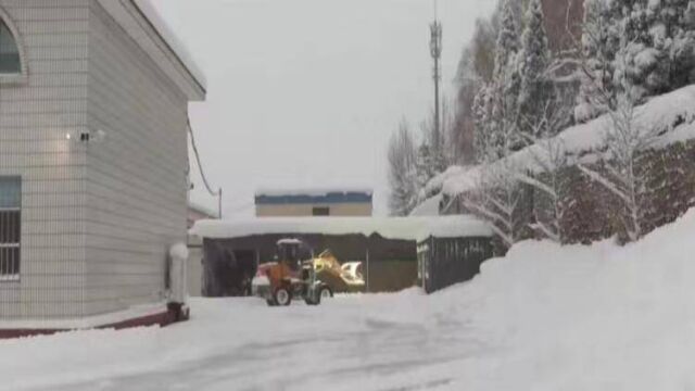 威海文登区:企业积极参与清雪 保障道路通畅