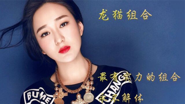 龙猫组合:合体前各自一片天,合体后作品经典无数,组合永不解体