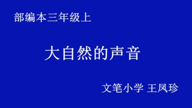 大自然的声音 