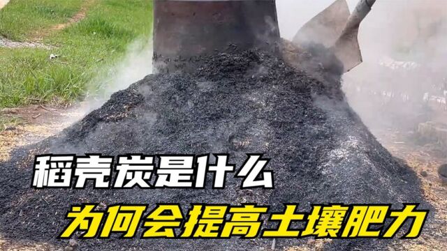 不可思议的稻壳炭,不仅能大大提高土壤质量,关键制作也非常简单