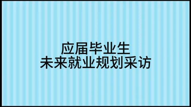 关于“应届毕业生未来就业规划”的采访