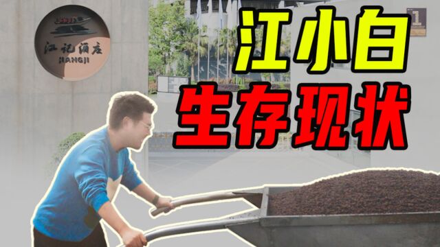 江小白生存现状