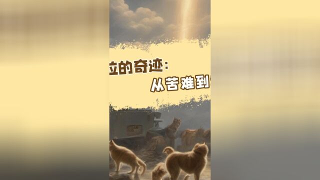 艾米拉的奇迹:从苦难到幸福 #汪星人