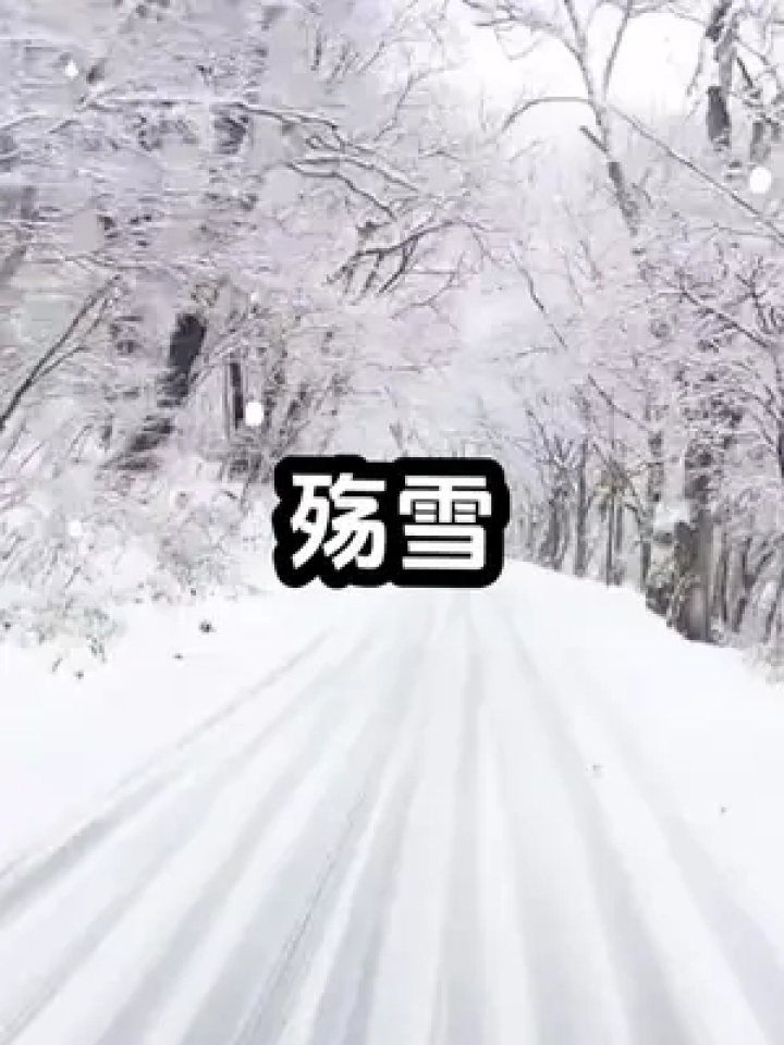 飘雪伤感图片