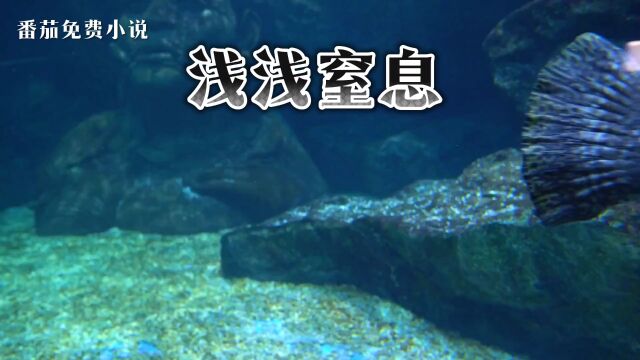 书名:浅浅窒息 #小说推荐 #霸总HE