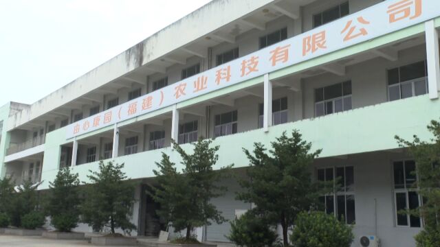 由心康园(福建)农业科技有限公司:智能化加工生产线投入使用