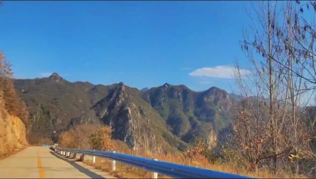 八百里伏牛山 #风景在路上 #伏牛山